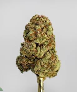 (AAAA) Blueberry x Platinum Cookies