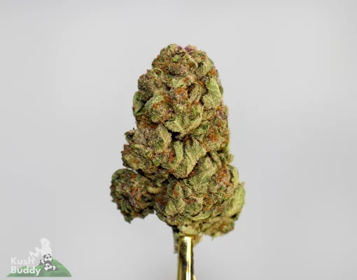 (AAAA) Blueberry x Platinum Cookies