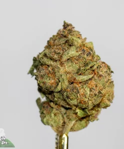 【世界100台】WEED Blues D 2 MA104B BD-2 世界100台】WEED Blues D 2 MA104B BD-2 世界100台】WEED Blues