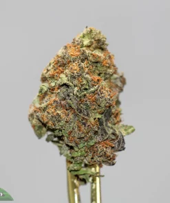 (AAA+) Gorilla Glue #4 x Bubba OG - Image 2