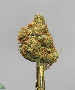 (AAA+) Gorilla Glue #4 x Bubba OG - Image 3