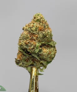 (AAA+) Gorilla Glue #4 x Bubba OG - Image 4