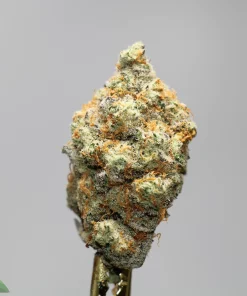 Close-up of a frosty cannabis bud with orange pistils against a pale gray background; trichomes visible on surface.