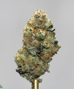 Macro shot of a frosty cannabis bud with orange pistils on a metal dab tool against a gray background