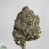 Darth Vader indica hybrid sweet grape aroma