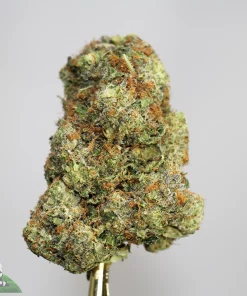 Black Series - Bulk - Darth Vader (LSO) - Image 2