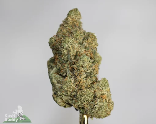 (AAAA) Pink Kush