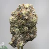 Close-up of a frosty cannabis bud with green and orange hairs and a crystalline coating.