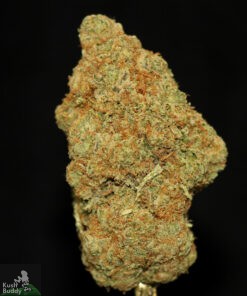 Black Series - 24k Gold Kush