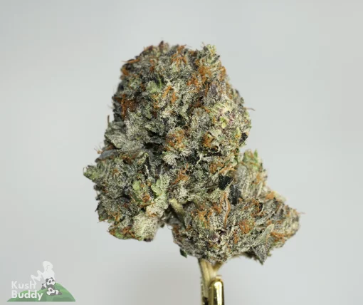 Black Series - Bulk - Blue Fin Tuna x Pink Fuel - LSO