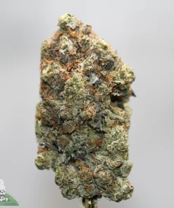 Close-up of a frosty cannabis bud with sparkling trichomes and orange hairs.