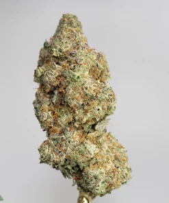 (AAAA - Bulk) White Rhino - Image 2