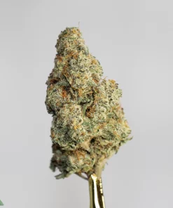 (AAAA - Bulk) White Rhino - Image 3