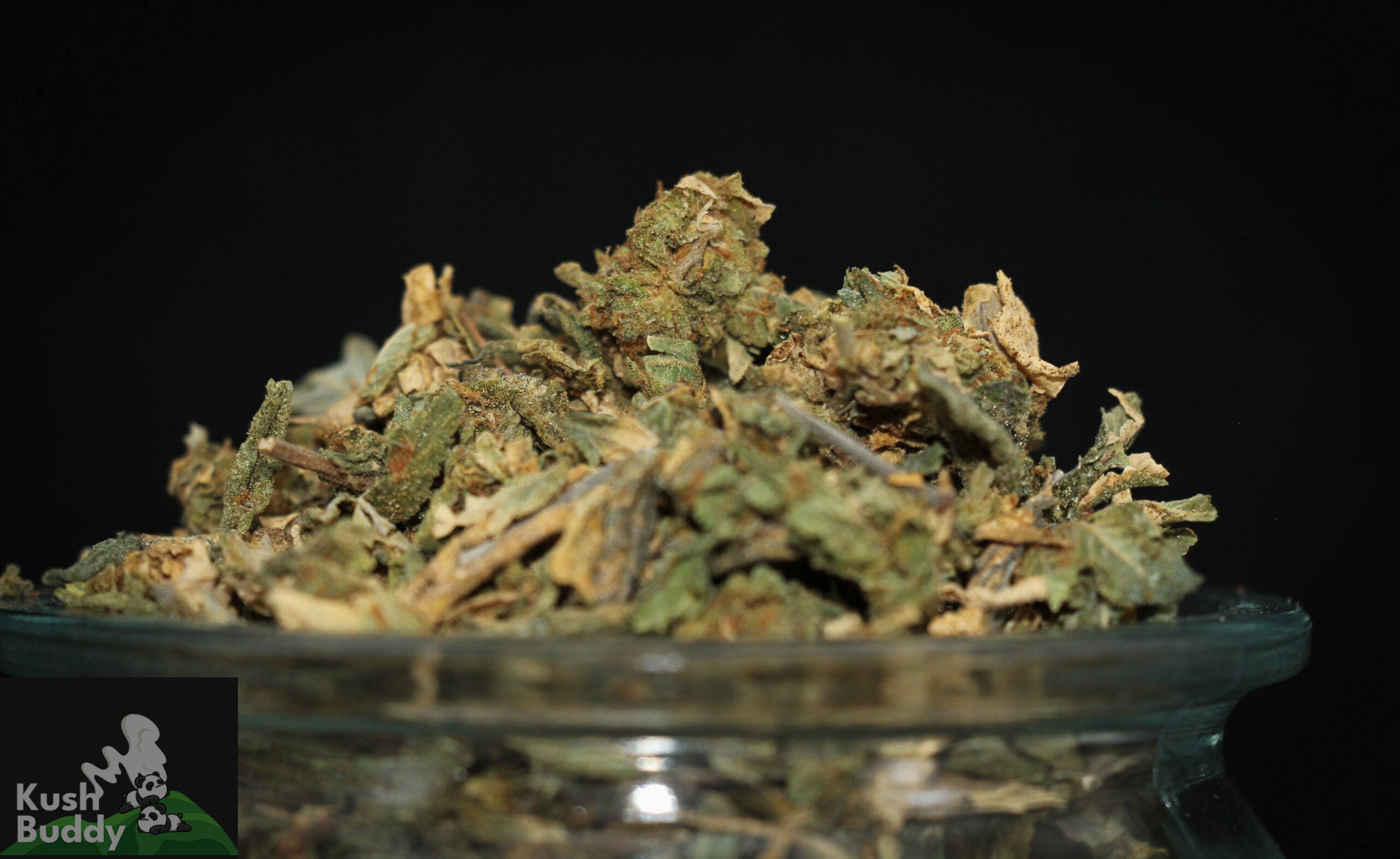 Standard Shake Mix - AA Blend - Image 3