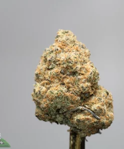 Close-up of a frosty cannabis bud with orange hairs, mounted on a stem against a gray background; Kush Buddy logo visible in the corner.
