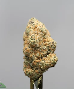 Close-up of a frosty cannabis bud with orange hairs on a gray background, logo reading 'Kush Buddy' in the bottom-left corner.