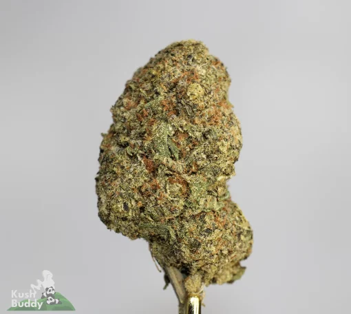 (AAAA-) God's Green Crack