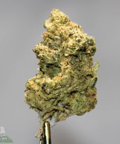 Black Series - Pink Jet Fuel