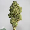 (AAA-) Juicy Fruit