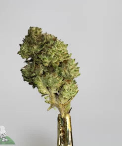 (AAA-) Juicy Fruit - Image 3