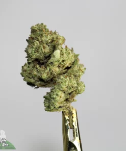 (AAA-) Juicy Fruit - Image 2