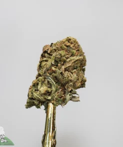 (AAA- - Bulk) Russian Doll - Image 3