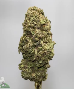 Close-up of a frosty cannabis bud with green and purple hues on a stem, against a neutral background (brand watermark bottom left).