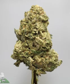Close-up of a cannabis flower with frosty trichomes, green and purple buds, attached stem, and a Kush Buddy watermark at the bottom left.