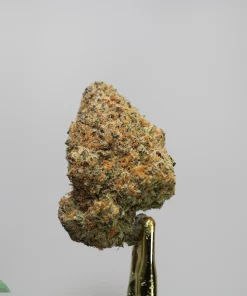 Close-up of a frosty cannabis bud held with tweezers against a pale background; Kush Buddy logo visible in the corner.