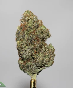 Black Series - Black God AK x Blackwater (LSO) - Image 3