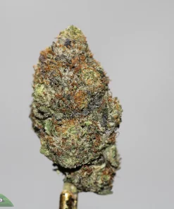 Black Series - Black God AK x Blackwater (LSO) - Image 2