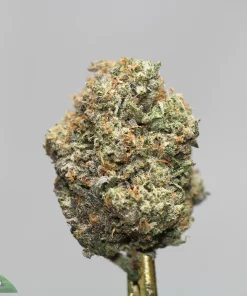 Close-up of a frosty cannabis bud with green and orange hairs, covered in trichomes; Kush Buddy watermark bottom left.