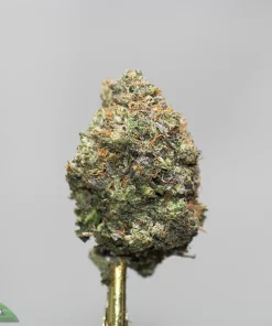 Close-up of a frosty cannabis bud with orange pistils on a gold stem against a gray background, watermark bottom-left.