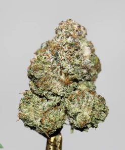 Black Series - MK Ultra x Pink Death - Image 2