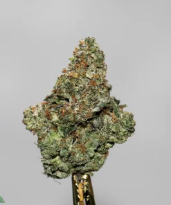 Black Series - MK Ultra x Pink Death - Image 3