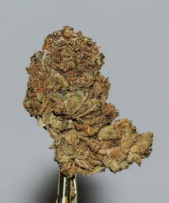 (AA) Sour Diesel
