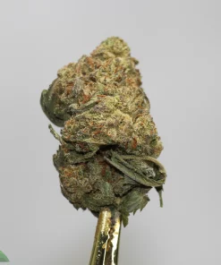 Close-up of a frosty cannabis bud on a stem, showing green, orange hairs and dense trichomes; watermark 'Kush Buddy' bottom left.