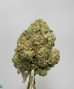 Close-up of a dense, frosty cannabis bud on a metal skewer against a plain gray background.