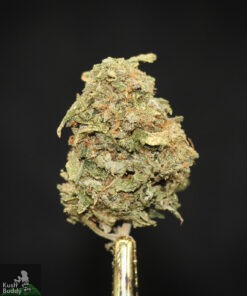 (AAA) Master Kush