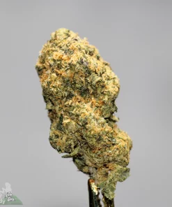(AAAA-) Pine Tar Kush