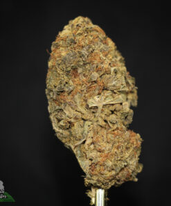 (AAAA- - Bulk) Pine Tar Kush - Image 3