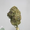 (AAA) Purple Space Cookies