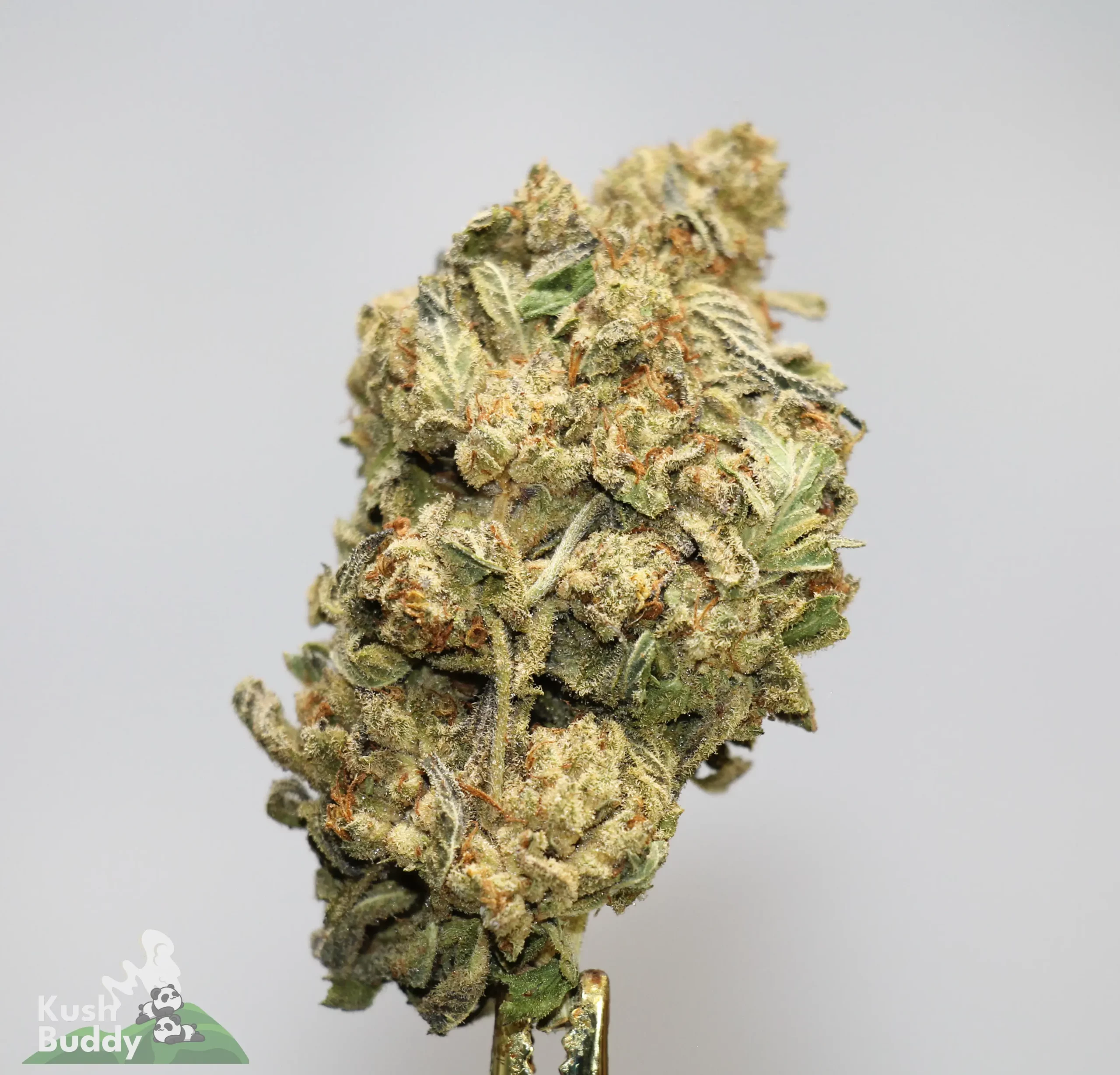 (AAA - Bulk) Super Skunk - Image 3