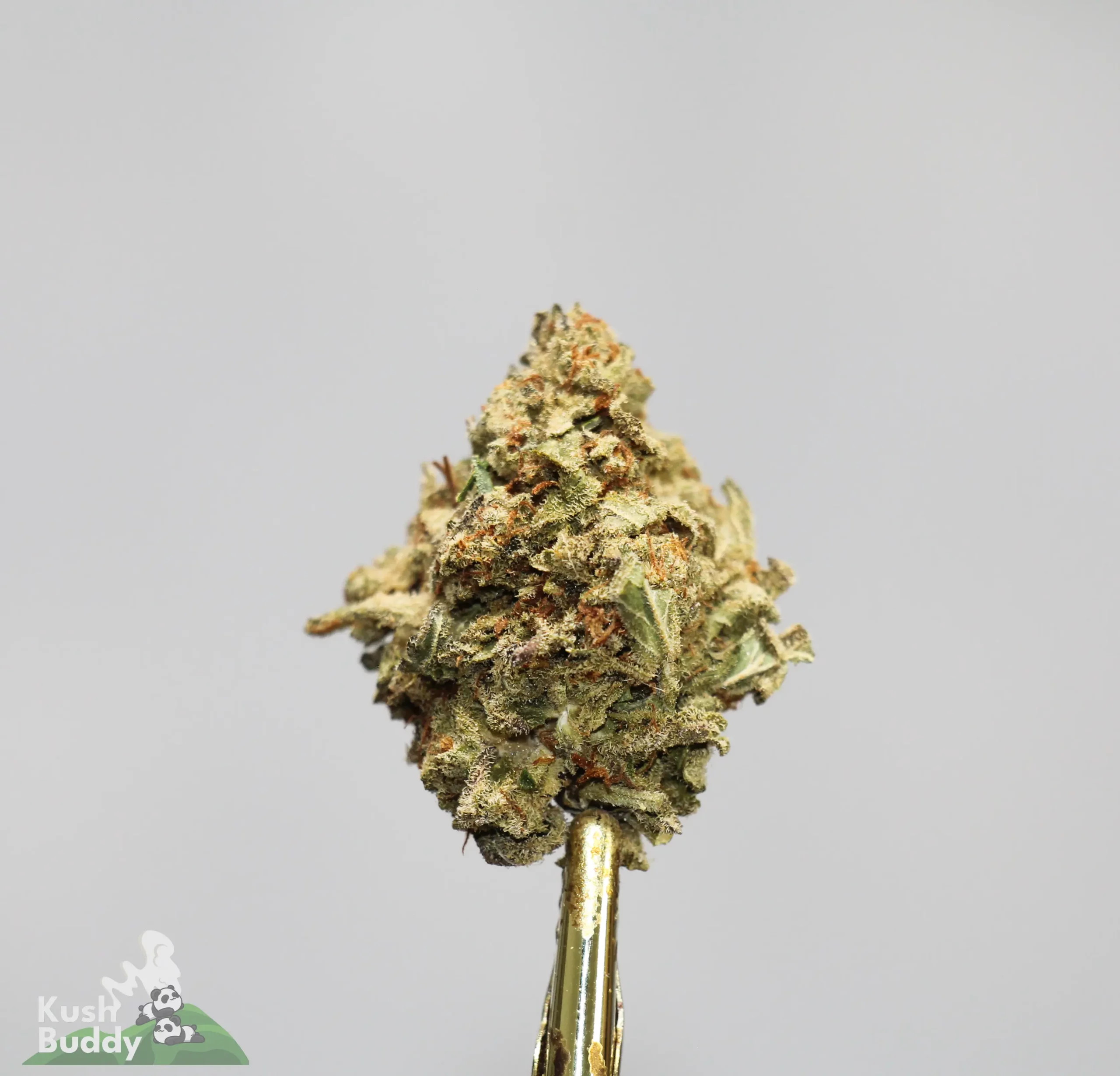 (AAA - Bulk) Super Skunk - Image 4