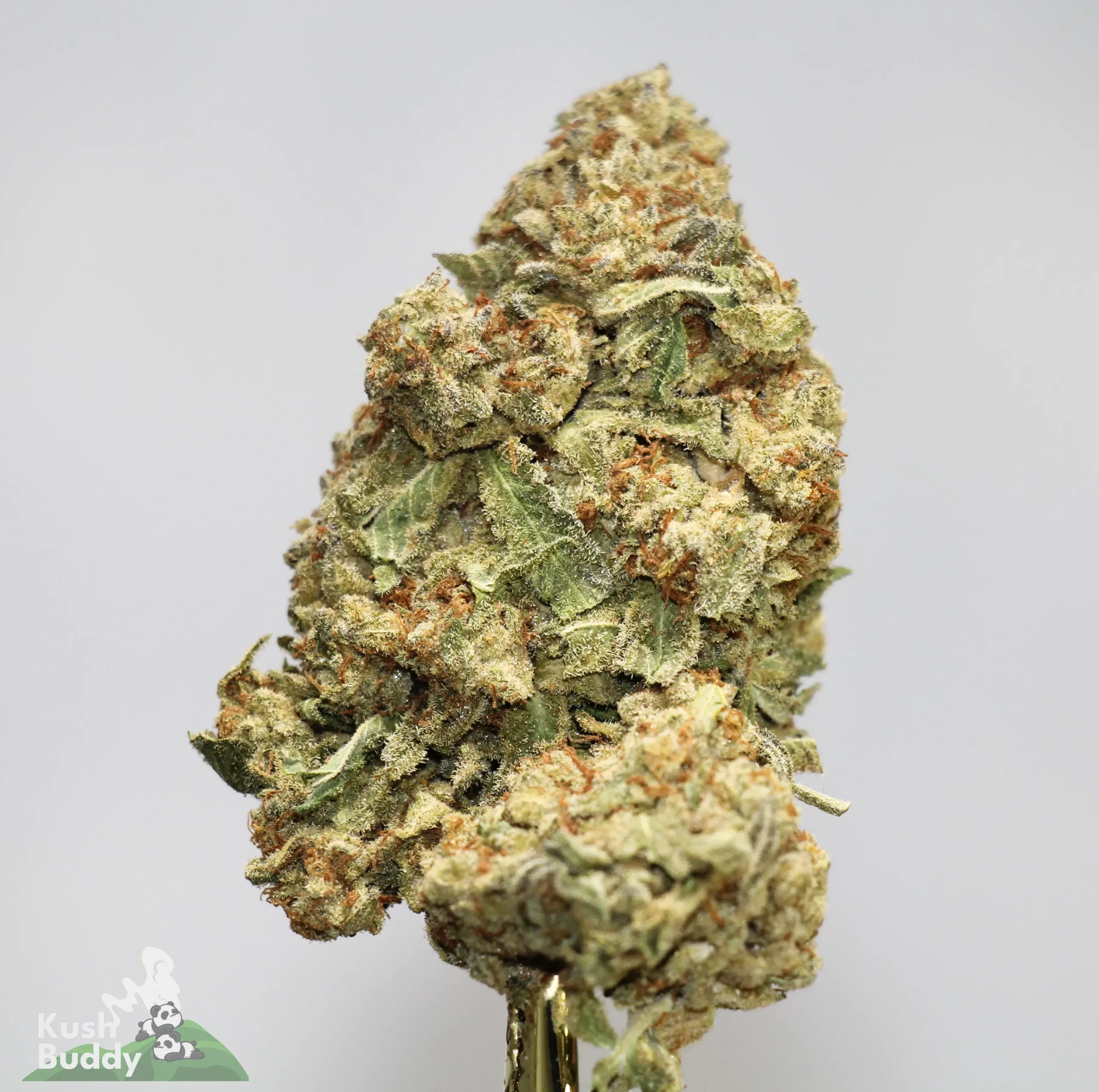 (AAA - Bulk) Super Skunk