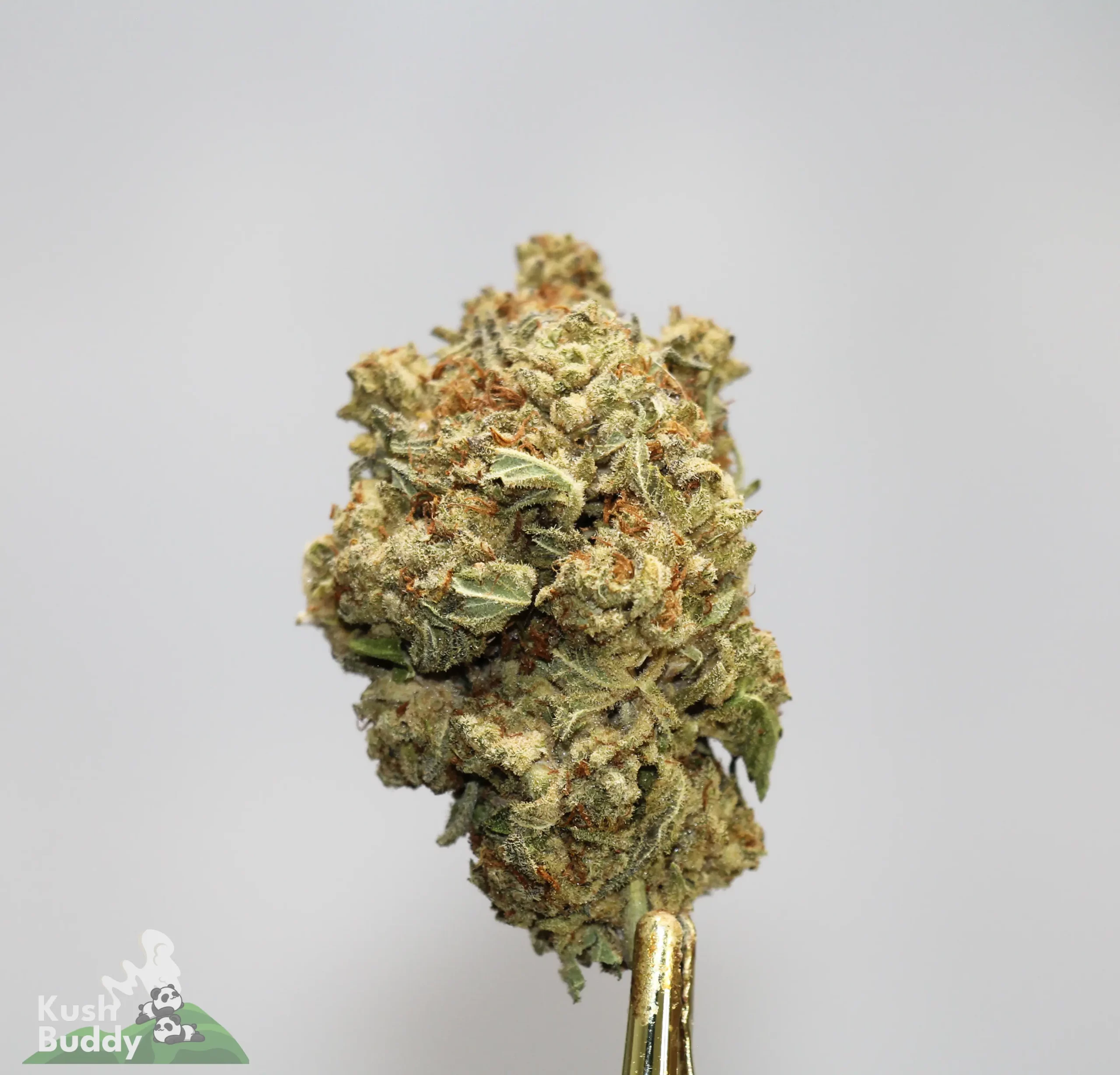 (AAA - Bulk) Super Skunk - Image 5