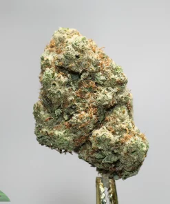 Close-up of a frosty cannabis bud on a stem, showing trichomes and orange hairs.