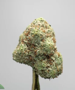 Close-up of a frosty cannabis bud with green and orange hairs, against a light gray background, watermark says 'Kush Buddy' in the corner.