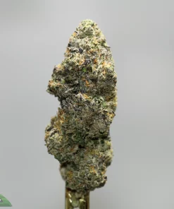 Close-up of a frosty cannabis bud with green, orange pistils and crystal trichomes, against a gray background (Kush Buddy logo in corner).