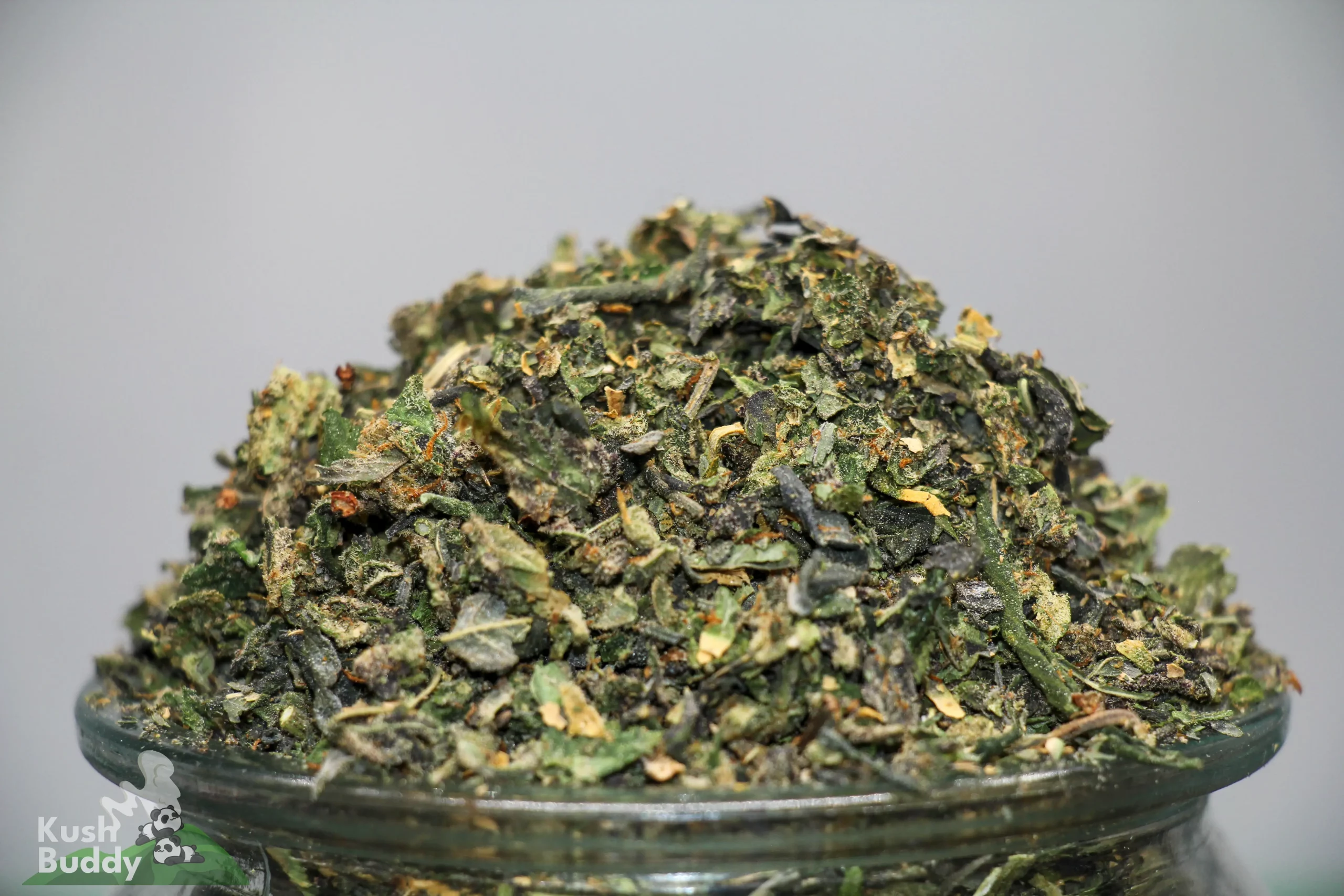 Close-up of a cannabis bud in a glass jar, showing green leaves, orange hairs, and frosty trichomes; Kush Buddy logo in the corner.